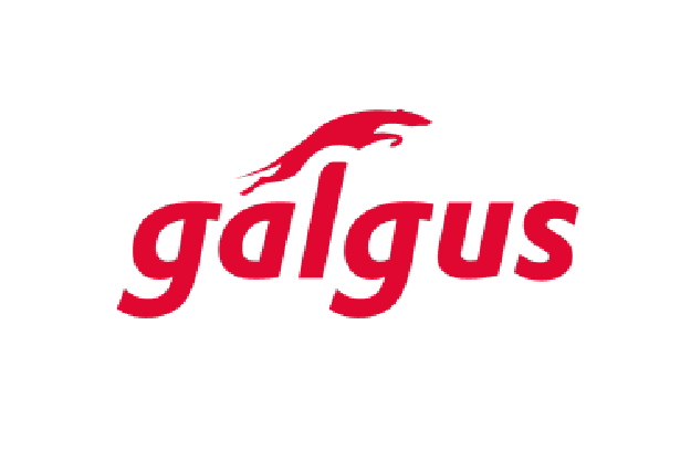 galgus-01